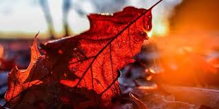 Ploi și cer noros: Vremea în Republica Moldova astăzi